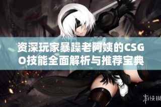资深玩家暴躁老阿姨的CSGO技能全面解析与推荐宝典