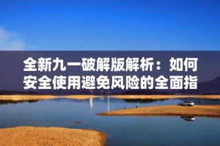 全新九一破解版解析：如何安全使用避免风险的全面指南