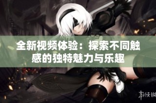 全新视频体验：探索不同触感的独特魅力与乐趣