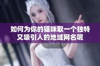 如何为你的猫咪取一个独特又吸引人的地域网名呢