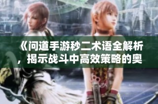 《问道手游秒二术语全解析，揭示战斗中高效策略的奥秘》