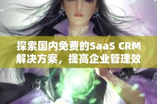 探索国内免费的SaaS CRM解决方案，提高企业管理效率
