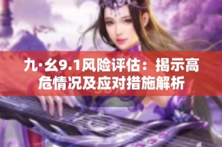 九·幺9.1风险评估：揭示高危情况及应对措施解析