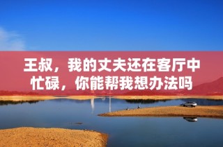 王叔，我的丈夫还在客厅中忙碌，你能帮我想办法吗