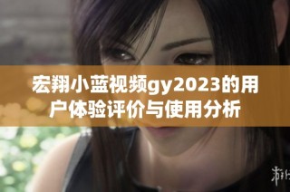 宏翔小蓝视频gy2023的用户体验评价与使用分析