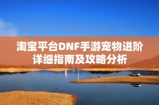 淘宝平台DNF手游宠物进阶详细指南及攻略分析