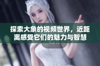 探索大象的视频世界，近距离感受它们的魅力与智慧