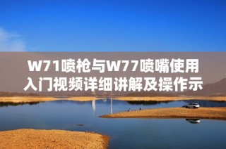 W71喷枪与W77喷嘴使用入门视频详细讲解及操作示范