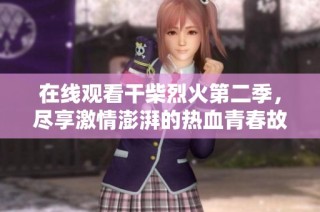 在线观看干柴烈火第二季，尽享激情澎湃的热血青春故事