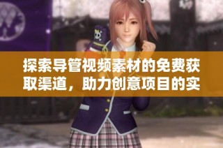 探索导管视频素材的免费获取渠道，助力创意项目的实现与发展