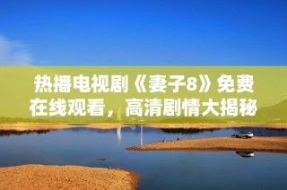 热播电视剧《妻子8》免费在线观看，高清剧情大揭秘