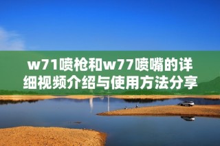 w71喷枪和w77喷嘴的详细视频介绍与使用方法分享