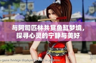 与阿司匹林共赏鱼缸梦境，探寻心灵的宁静与美好