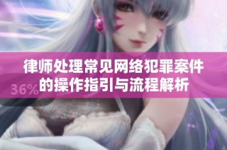 律师处理常见网络犯罪案件的操作指引与流程解析