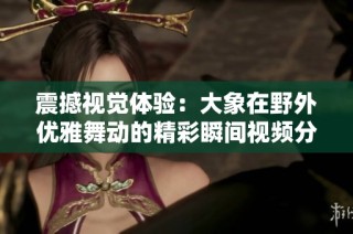 震撼视觉体验：大象在野外优雅舞动的精彩瞬间视频分享