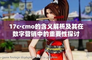 17c·cmo的含义解析及其在数字营销中的重要性探讨