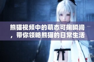 熊猫视频中的萌态可掬瞬间，带你领略熊猫的日常生活乐趣