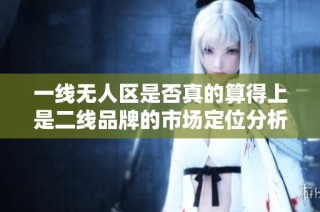一线无人区是否真的算得上是二线品牌的市场定位分析