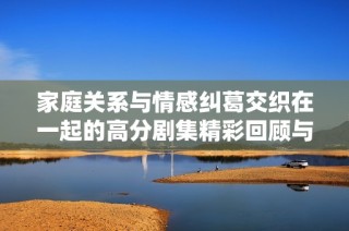 家庭关系与情感纠葛交织在一起的高分剧集精彩回顾与解析