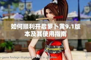 如何顺利开启萝卜黄9.1版本及其使用指南