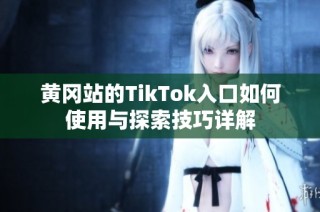 黄冈站的TikTok入口如何使用与探索技巧详解