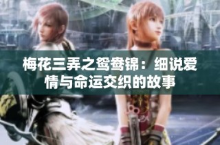 梅花三弄之鸳鸯锦：细说爱情与命运交织的故事