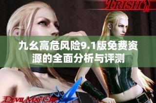 九幺高危风险9.1版免费资源的全面分析与评测