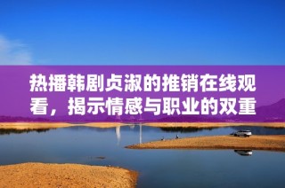 热播韩剧贞淑的推销在线观看，揭示情感与职业的双重挑战