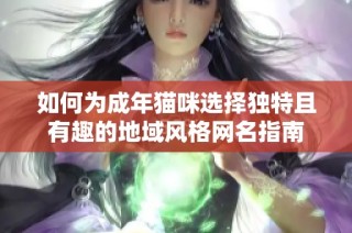 如何为成年猫咪选择独特且有趣的地域风格网名指南