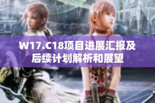 W17.C18项目进展汇报及后续计划解析和展望