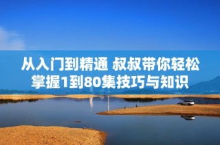 从入门到精通 叔叔带你轻松掌握1到80集技巧与知识