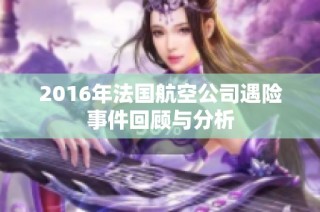 2016年法国航空公司遇险事件回顾与分析