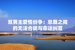 双男主爱情纷争：总裁之间的无法合拢与命运纠葛