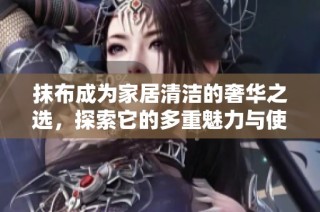 抹布成为家居清洁的奢华之选，探索它的多重魅力与使用价值