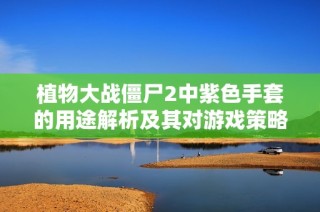 植物大战僵尸2中紫色手套的用途解析及其对游戏策略的影响分析
