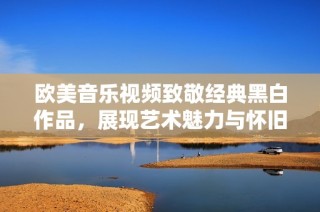 欧美音乐视频致敬经典黑白作品，展现艺术魅力与怀旧情怀