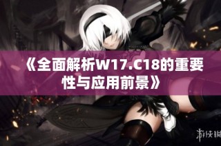 《全面解析W17.C18的重要性与应用前景》