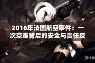 2016年法国航空事件：一次空难背后的安全与责任反思