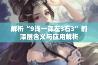 解析“9浅一深左3右3”的深层含义与应用解析