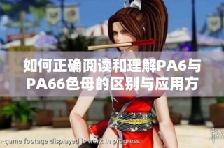 如何正确阅读和理解PA6与PA66色母的区别与应用方法