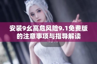 安装9幺高危风险9.1免费版的注意事项与指导解读