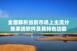全面解析当前市场上主流分账系统软件及其特色功能