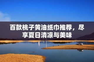 百款桃子黄油纸巾推荐，尽享夏日清凉与美味