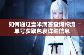 如何通过壹米滴答查询物流单号获取包裹详细信息