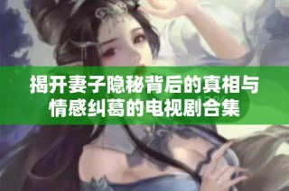 揭开妻子隐秘背后的真相与情感纠葛的电视剧合集