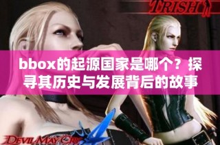 bbox的起源国家是哪个？探寻其历史与发展背后的故事