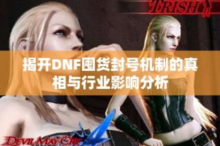 揭开DNF囤货封号机制的真相与行业影响分析