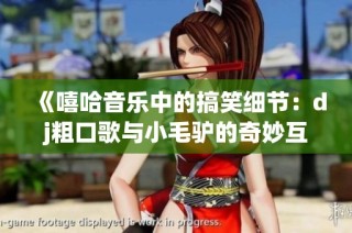 《嘻哈音乐中的搞笑细节：dj粗口歌与小毛驴的奇妙互动》