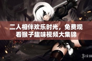 二人相伴欢乐时光，免费观看猴子趣味视频大集锦