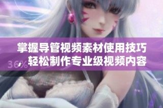 掌握导管视频素材使用技巧，轻松制作专业级视频内容分享